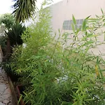 بيت للعطل Bliss White House