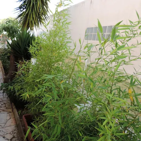 Tatil Evi Bliss White House