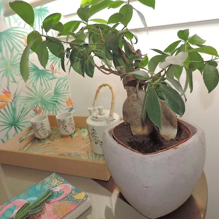 Bliss White House Sintra