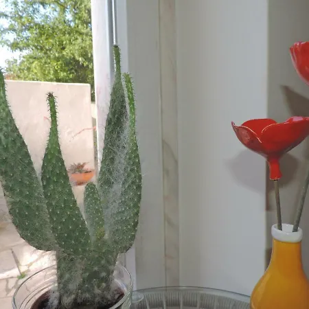 Bliss White House Sintra