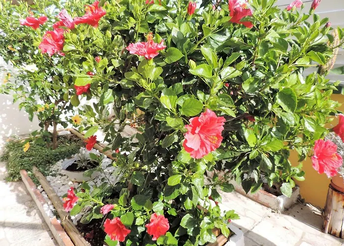 Semesterbostad Bliss White House Sintra