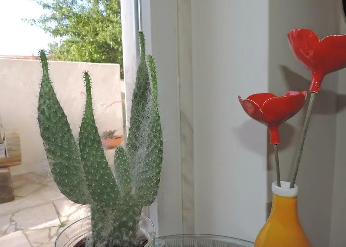 Bliss White House Sintra